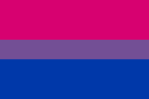 Bi Pride Flag | Buy Bisexual Flags For Sale - The World of Flags